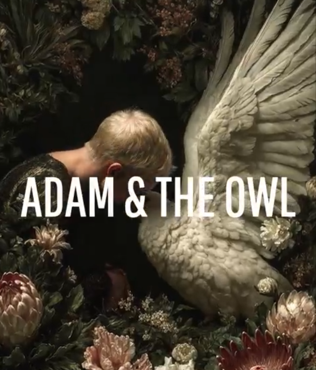 Stai creando o decorando?