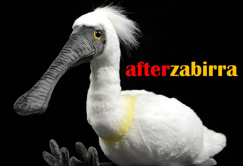 Afterzabirra numero quarantaquattro